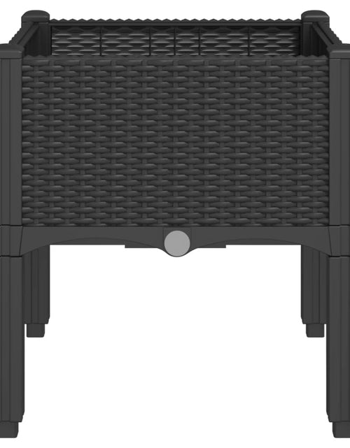 Загрузите изображение в средство просмотра галереи, Jardinieră de grădină cu picioare, negru, 40x40x42 cm, PP
