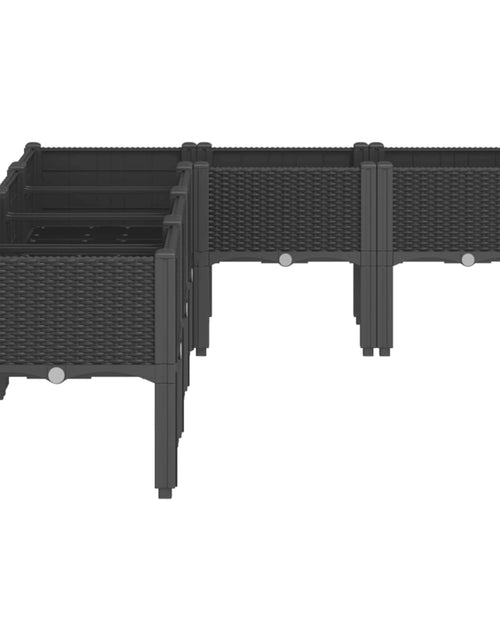 Загрузите изображение в средство просмотра галереи, Jardinieră de grădină cu picioare, negru, 160x120x42 cm, PP
