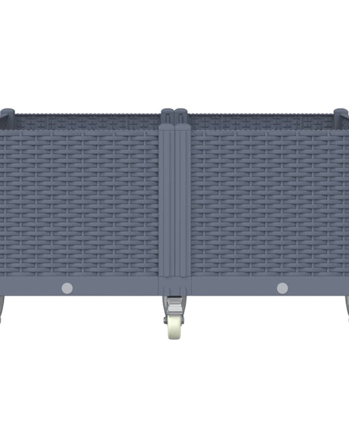 Загрузите изображение в средство просмотра галереи, Jardinieră de grădină cu picioare, gri, 100x80x54 cm, PP
