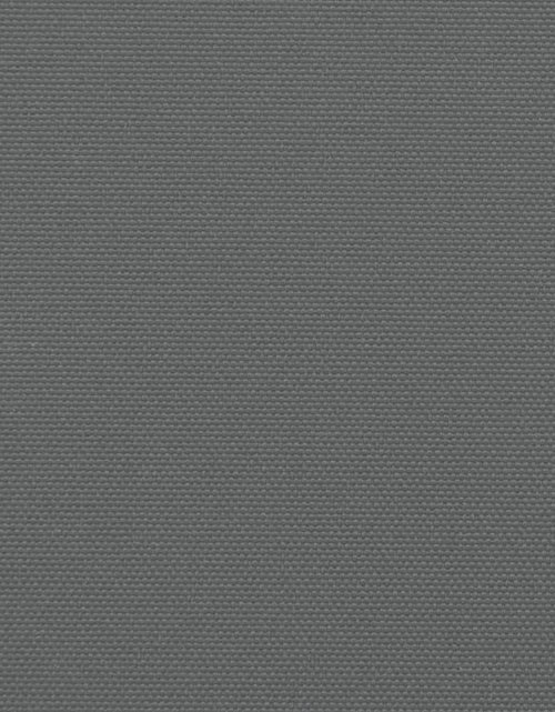 Încărcați imaginea în vizualizatorul Galerie, Copertină laterală retractabilă, antracit, 180x600 cm
