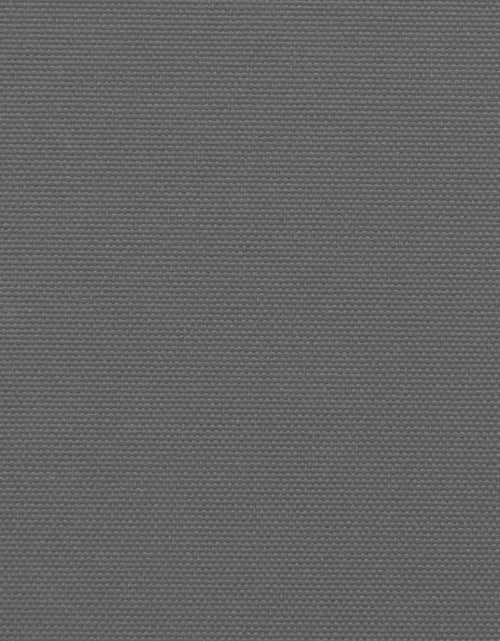 Încărcați imaginea în vizualizatorul Galerie, Copertină laterală retractabilă, antracit, 200x600 cm
