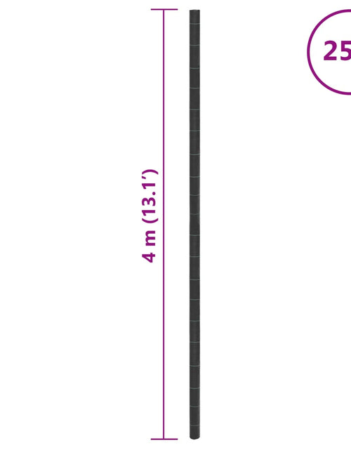 Загрузите изображение в средство просмотра галереи, Membrană antiburuieni, negru, 4x25 m, PP
