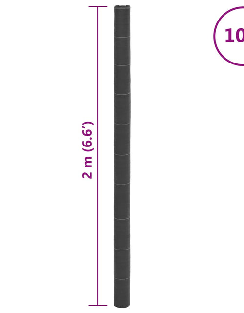 Загрузите изображение в средство просмотра галереи, Membrană antiburuieni, negru, 2x10 m, PP
