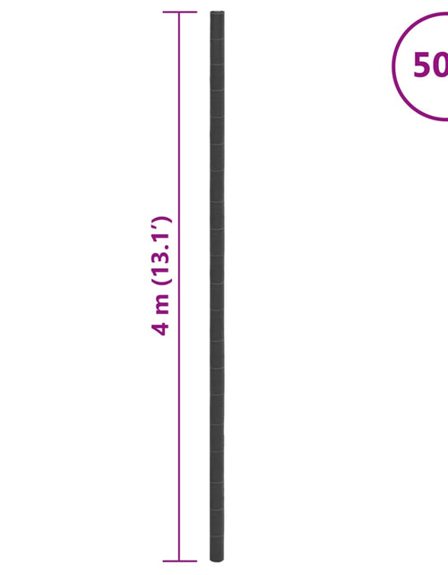 Загрузите изображение в средство просмотра галереи, Membrană antiburuieni, negru, 4x50 m, PP
