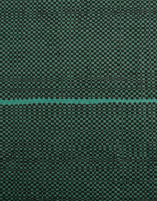 Încărcați imaginea în vizualizatorul Galerie, Membrană antiburuieni, verde, 0,5x10 m, PP
