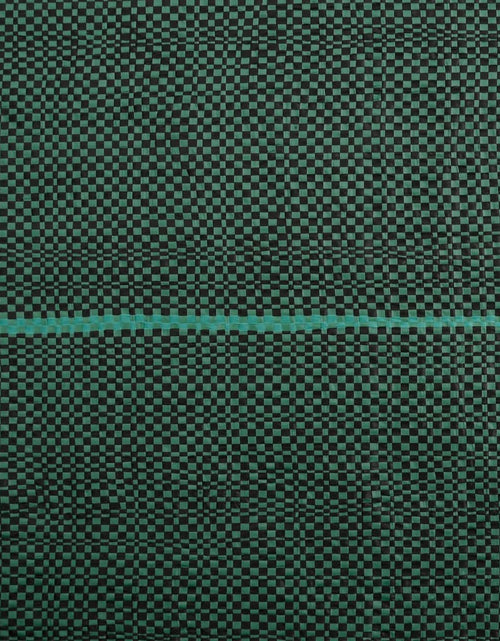 Încărcați imaginea în vizualizatorul Galerie, Membrană antiburuieni, verde, 0,5x25 m, PP
