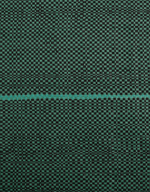 Загрузите изображение в средство просмотра галереи, Membrană antiburuieni, verde, 0,5x50 m, PP
