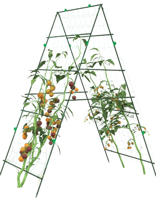 Încărcați imaginea în vizualizatorul Galerie, Spalier grădină plante cățărătoare, cadru A 99x90x175,5 cm oțel
