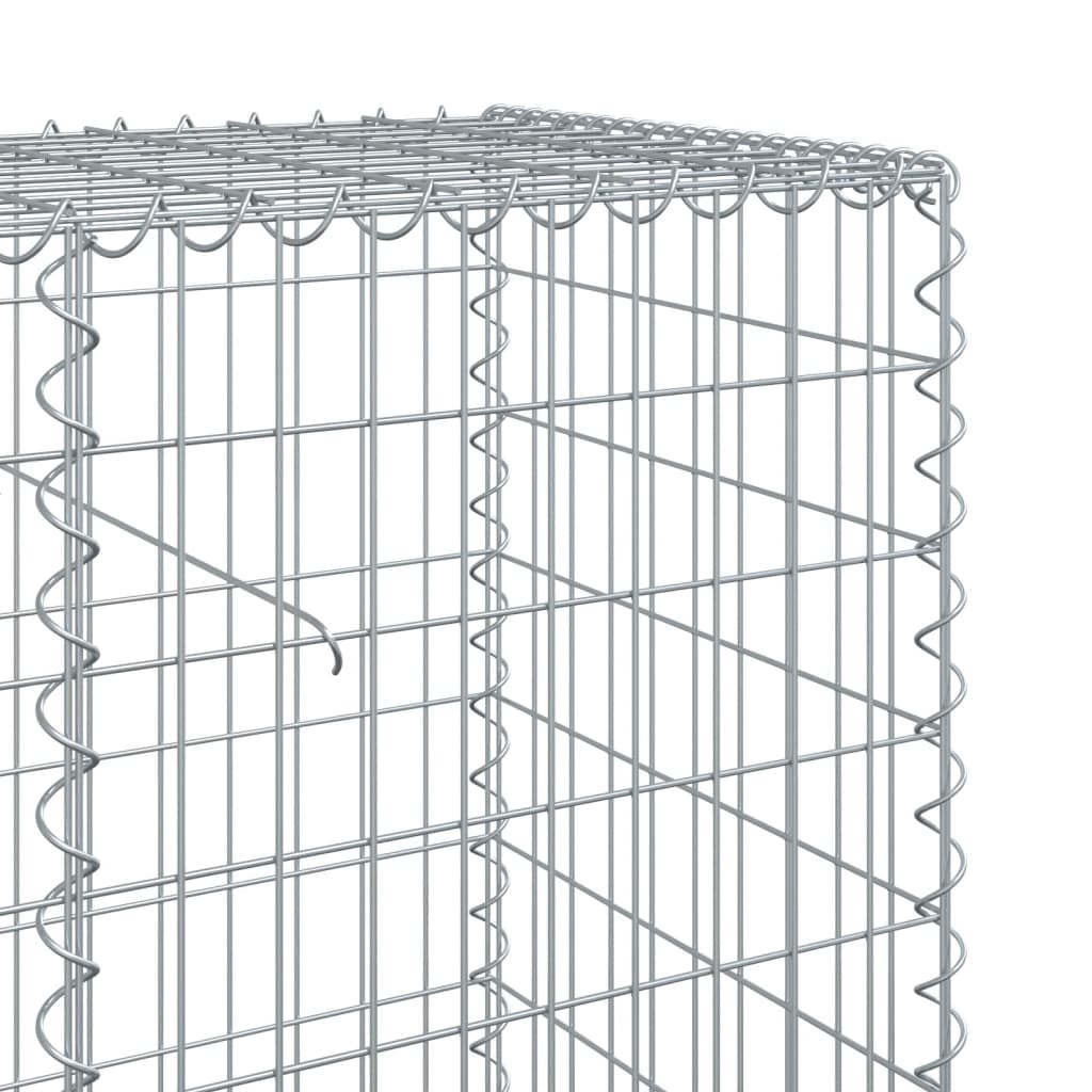 Coș gabion cu capac, 300x50x100 cm, fier galvanizat