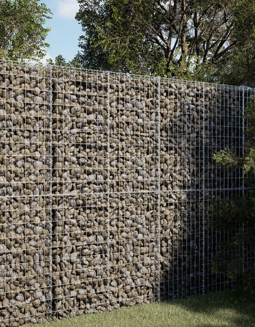 Încărcați imaginea în vizualizatorul Galerie, Coș gabion cu capac, 100x50x200 cm, fier galvanizat
