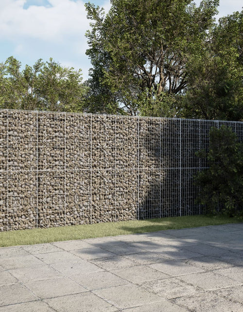 Încărcați imaginea în vizualizatorul Galerie, Coș gabion cu capac, 1100x50x200 cm, fier galvanizat
