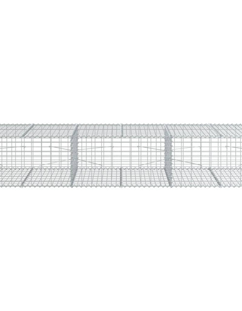 Încărcați imaginea în vizualizatorul Galerie, Coș gabion cu capac, 300x100x50 cm, fier galvanizat
