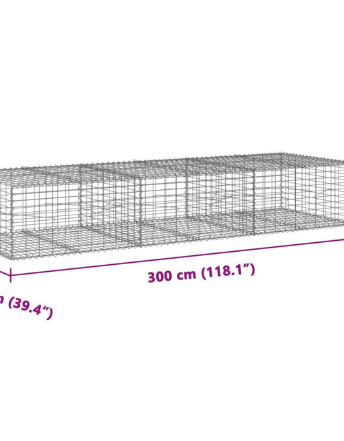 Încărcați imaginea în vizualizatorul Galerie, Coș gabion cu capac, 300x100x50 cm, fier galvanizat
