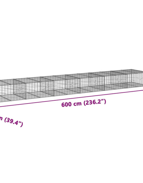 Încărcați imaginea în vizualizatorul Galerie, Coș gabion cu capac, 600x100x50 cm, fier galvanizat
