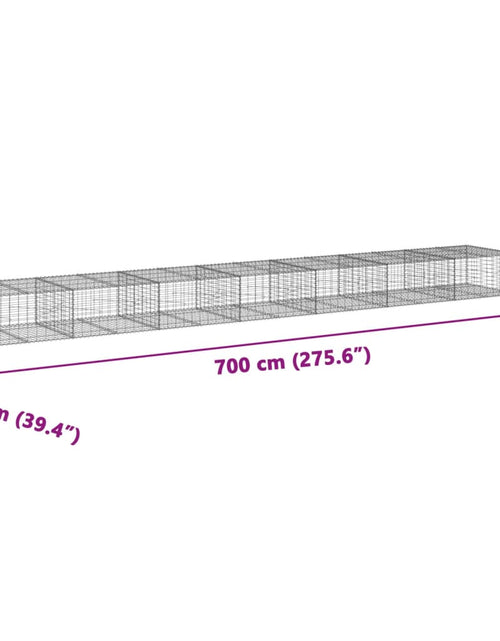 Încărcați imaginea în vizualizatorul Galerie, Coș gabion cu capac, 700x100x50 cm, fier galvanizat
