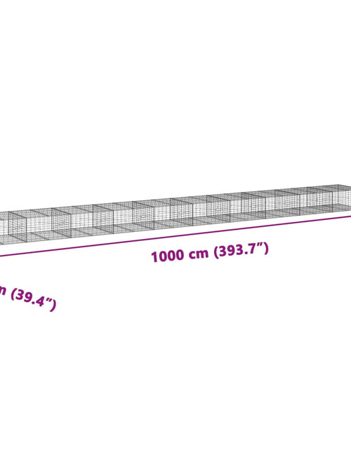 Încărcați imaginea în vizualizatorul Galerie, Coș gabion cu capac, 1000x100x50 cm, fier galvanizat
