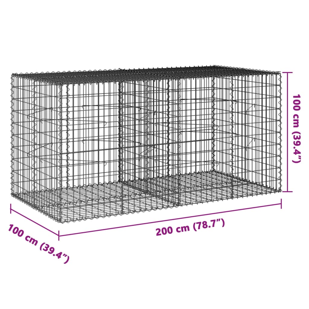 Coș gabion cu capac, 200x100x100 cm, fier galvanizat