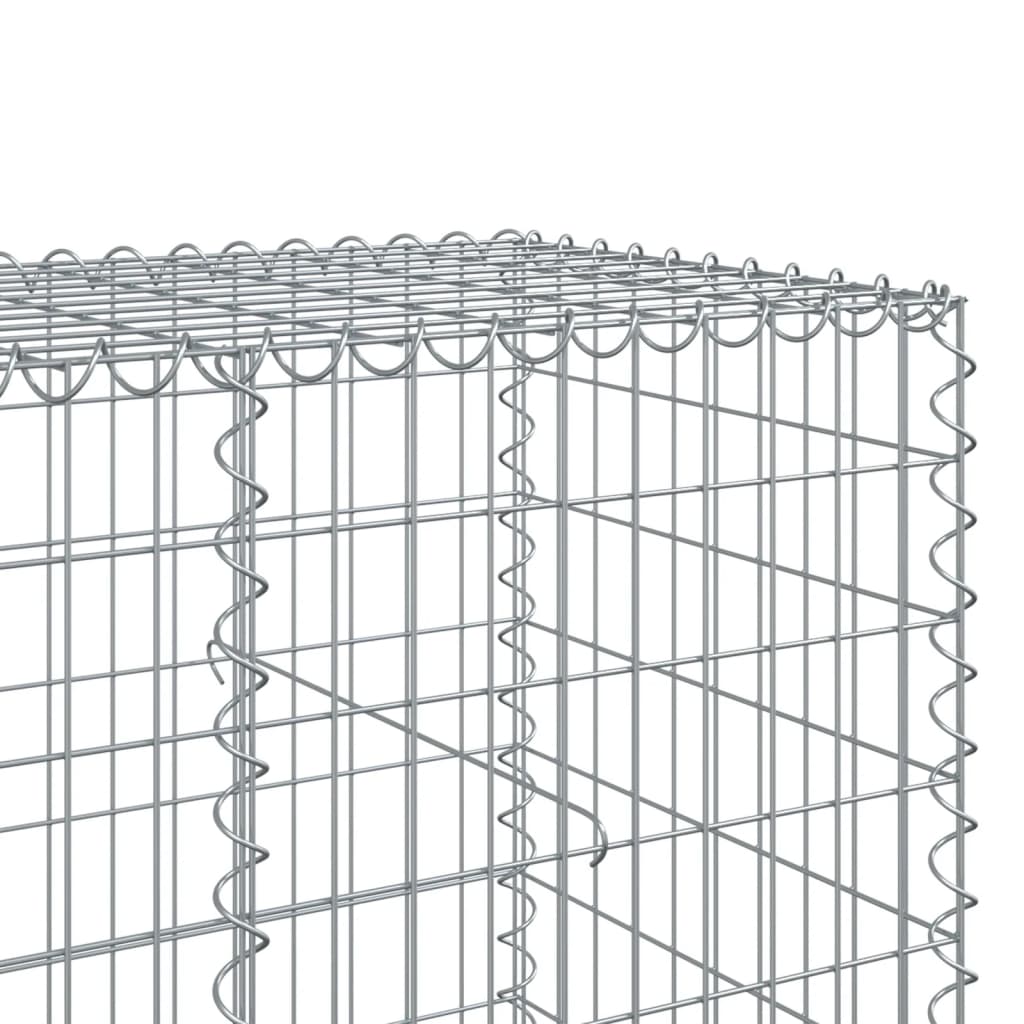 Coș gabion cu capac, 250x100x100 cm, fier galvanizat