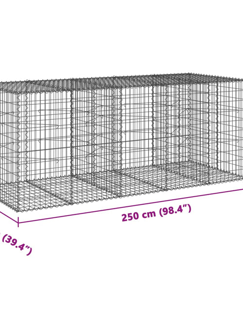 Încărcați imaginea în vizualizatorul Galerie, Coș gabion cu capac, 250x100x100 cm, fier galvanizat
