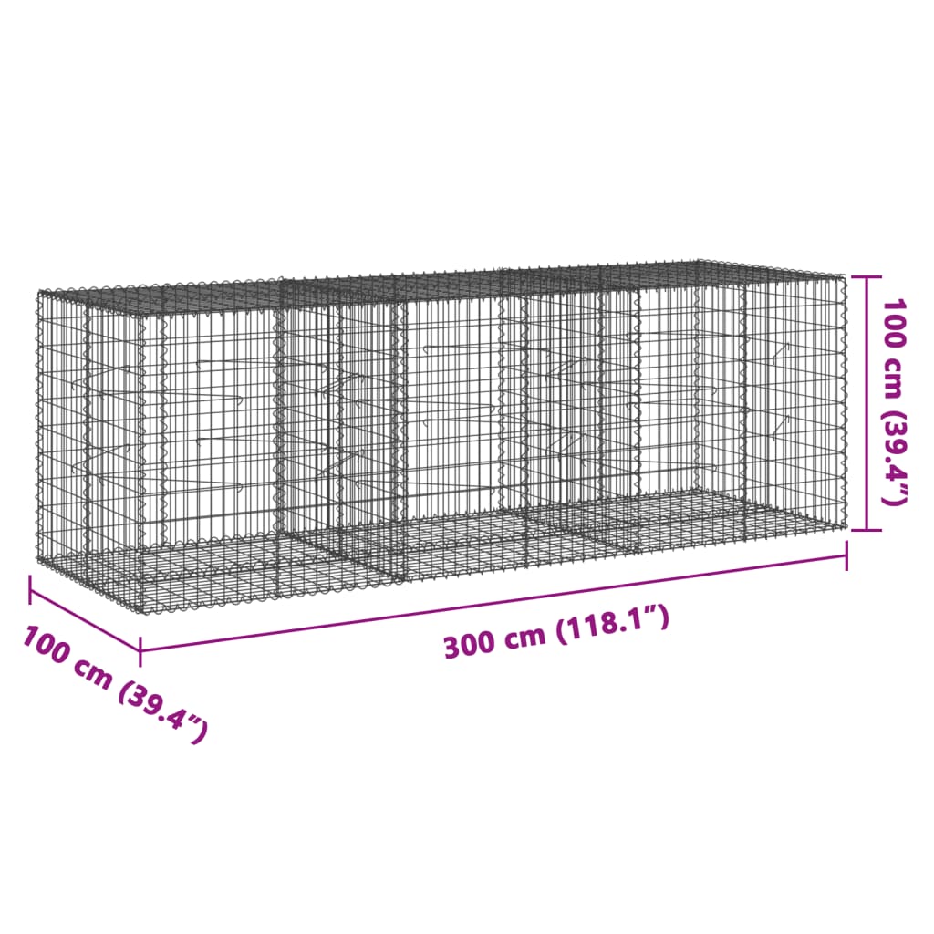 Coș gabion cu capac, 300x100x100 cm, fier galvanizat