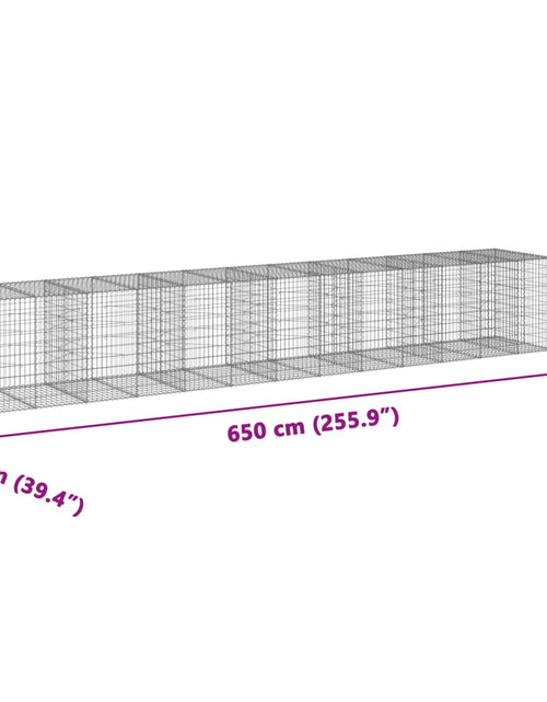 Încărcați imaginea în vizualizatorul Galerie, Coș gabion cu capac, 650x100x100 cm, fier galvanizat
