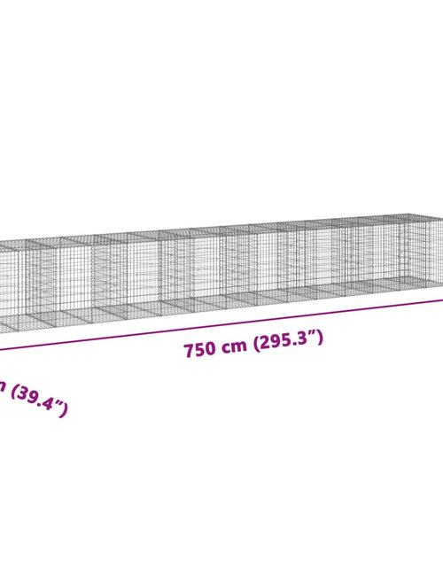 Încărcați imaginea în vizualizatorul Galerie, Coș gabion cu capac, 750x100x100 cm, fier galvanizat
