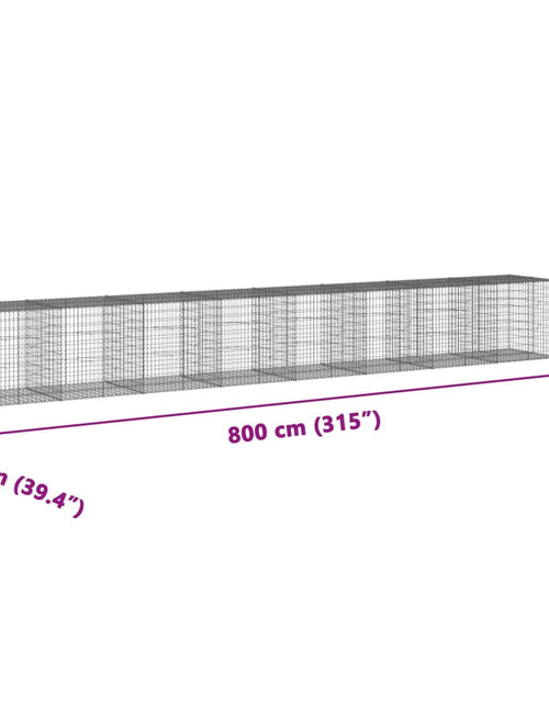 Încărcați imaginea în vizualizatorul Galerie, Coș gabion cu capac, 800x100x100 cm, fier galvanizat
