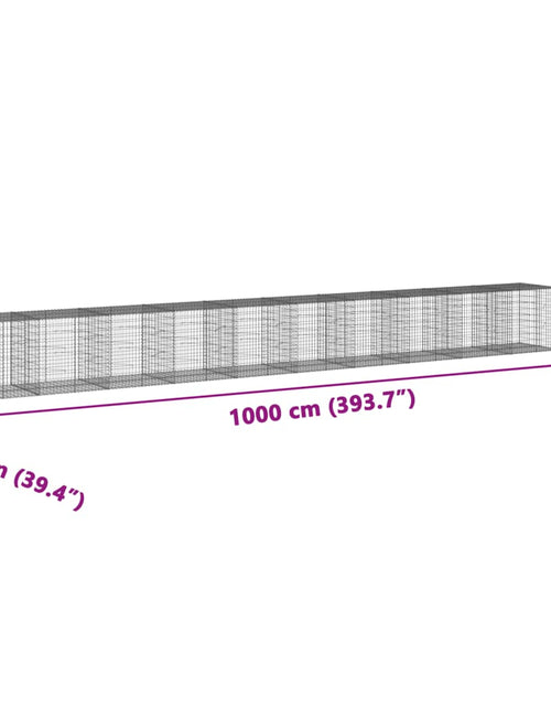 Încărcați imaginea în vizualizatorul Galerie, Coș gabion cu capac, 1000x100x100 cm, fier galvanizat
