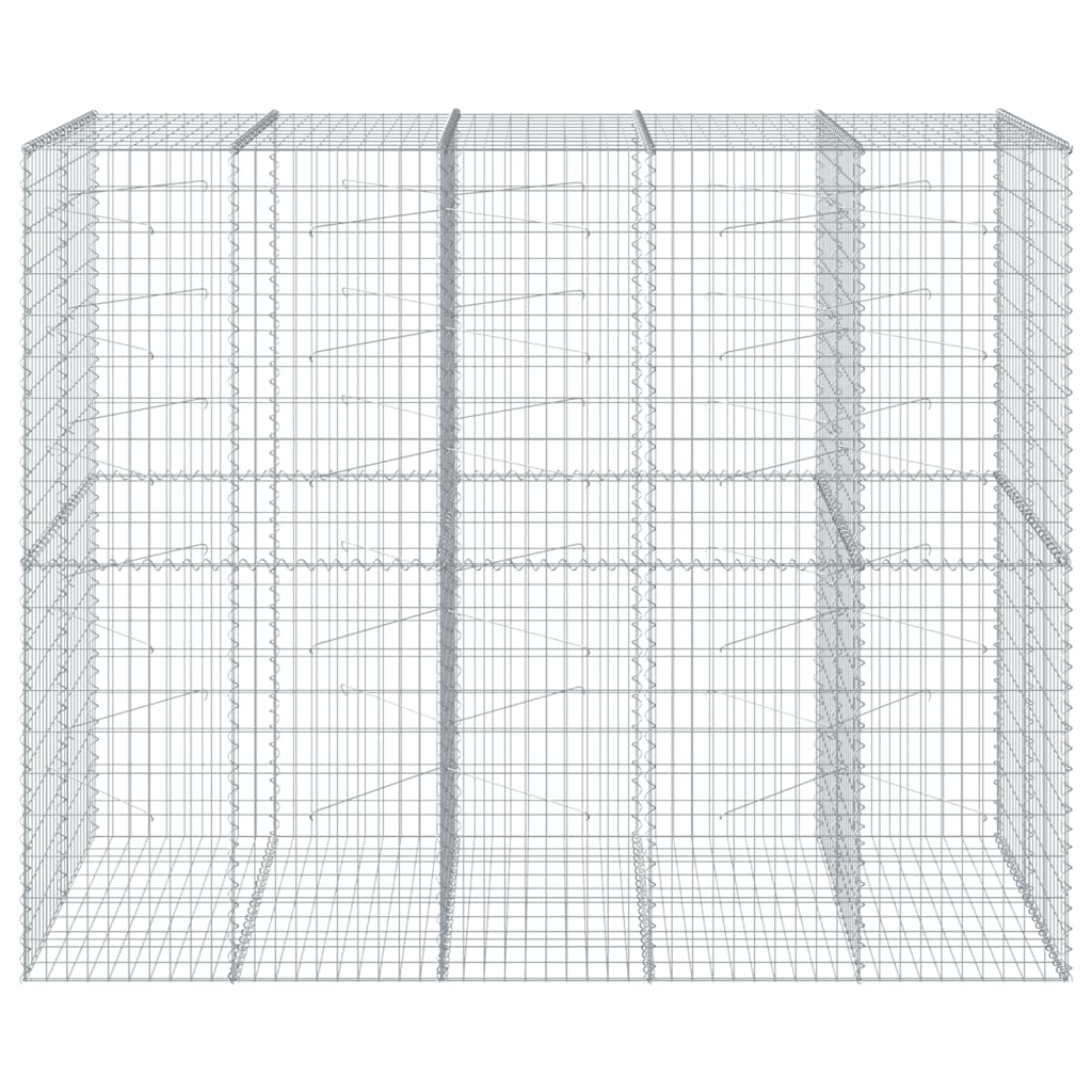 Coș gabion cu capac, 250x100x200 cm, fier galvanizat