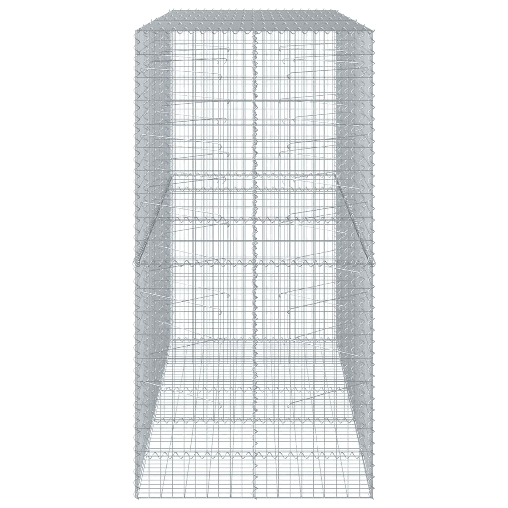 Coș gabion cu capac, 250x100x200 cm, fier galvanizat