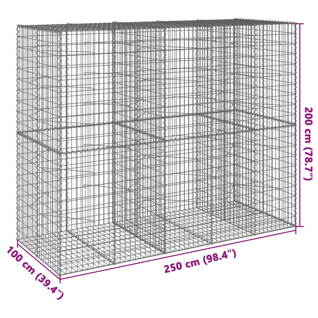 Coș gabion cu capac, 250x100x200 cm, fier galvanizat