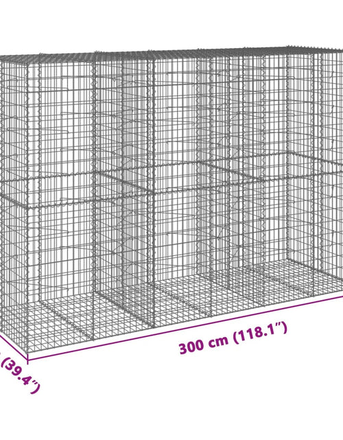 Încărcați imaginea în vizualizatorul Galerie, Coș gabion cu capac, 300x100x200 cm, fier galvanizat
