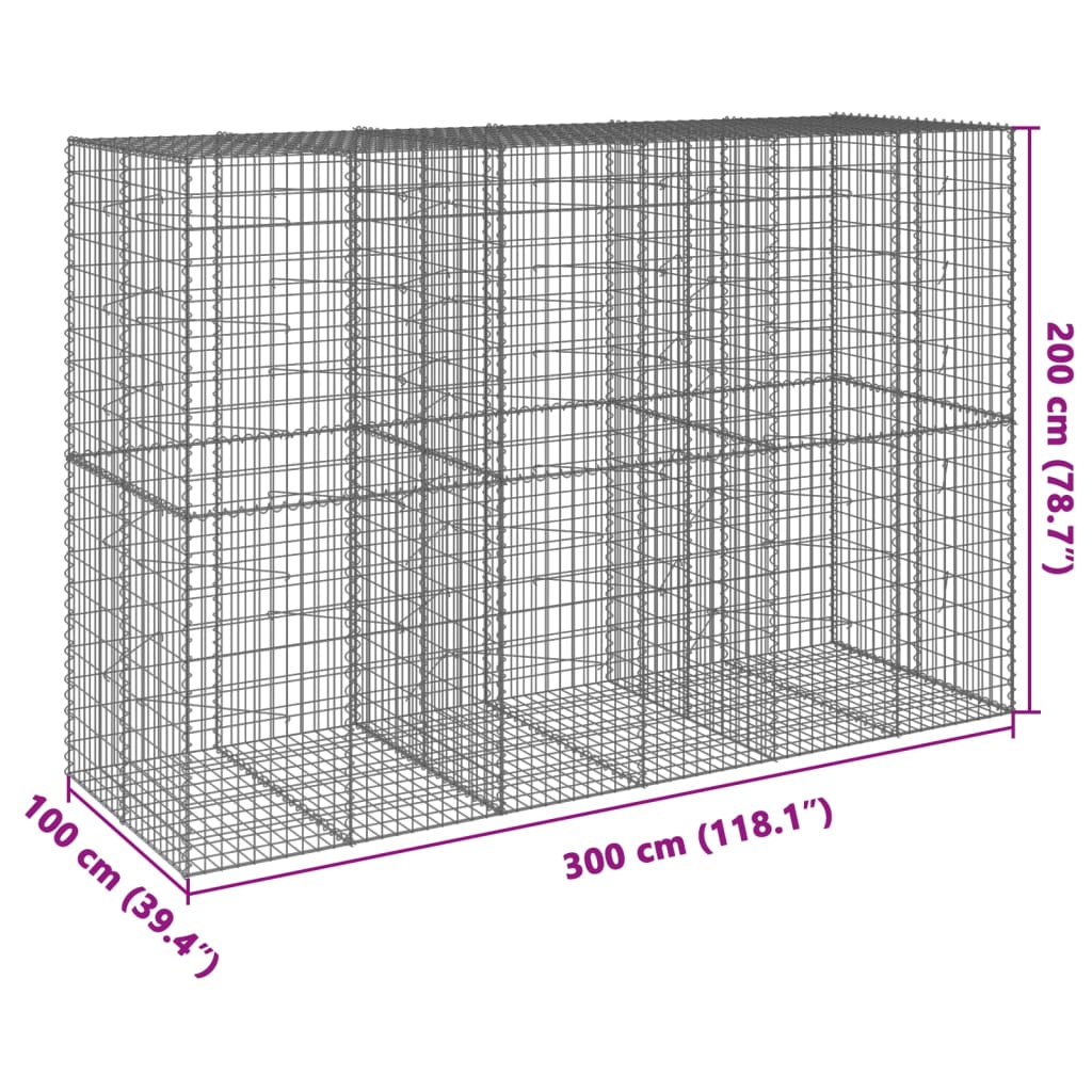 Coș gabion cu capac, 300x100x200 cm, fier galvanizat