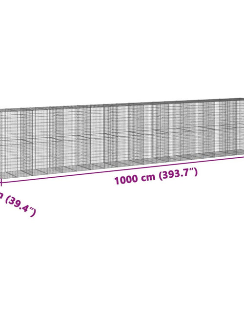 Încărcați imaginea în vizualizatorul Galerie, Coș gabion cu capac, 1000x100x200 cm, fier galvanizat
