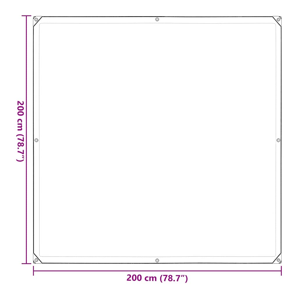 Prelata transparenta cu ochiuri 2x2 m polietilena