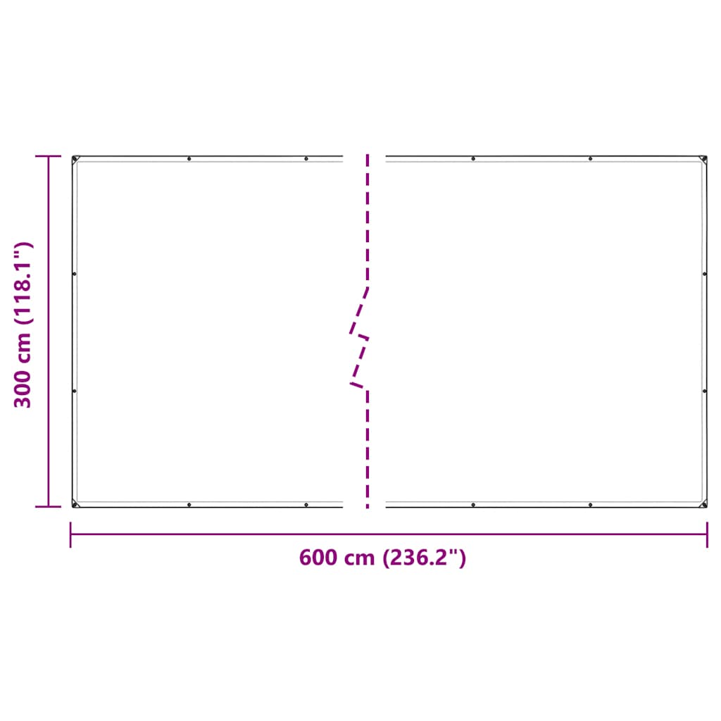 Prelata transparenta cu ochiuri 3x6 m polietilena