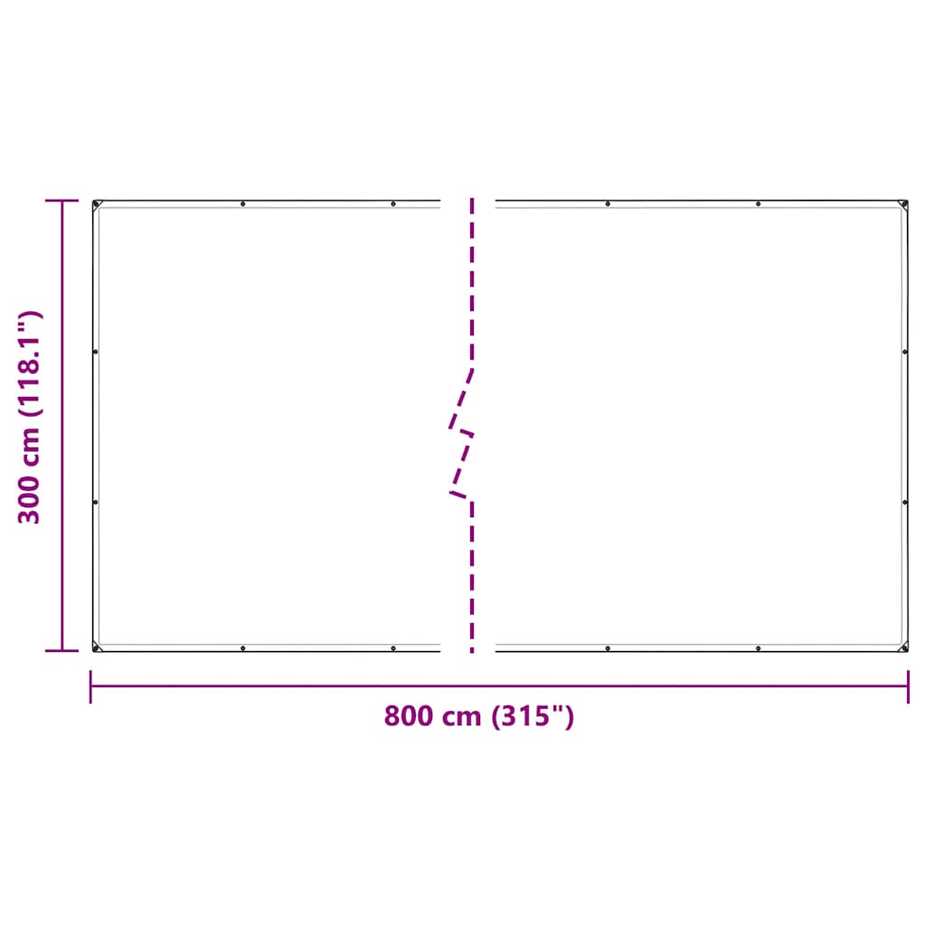 Prelata transparenta cu ochiuri 3x8 m polietilena