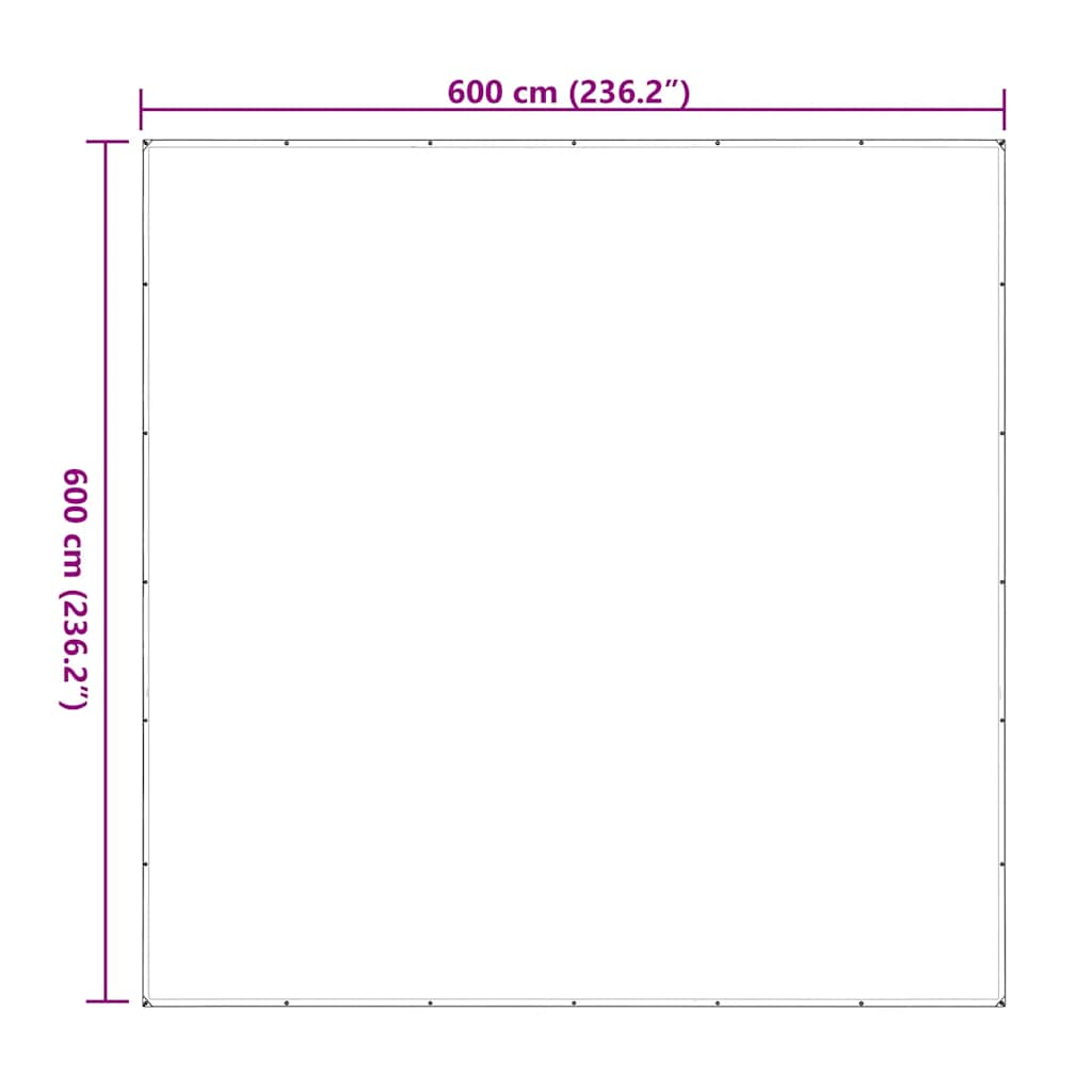 Prelata transparenta cu ochiuri 6x6 m polietilena