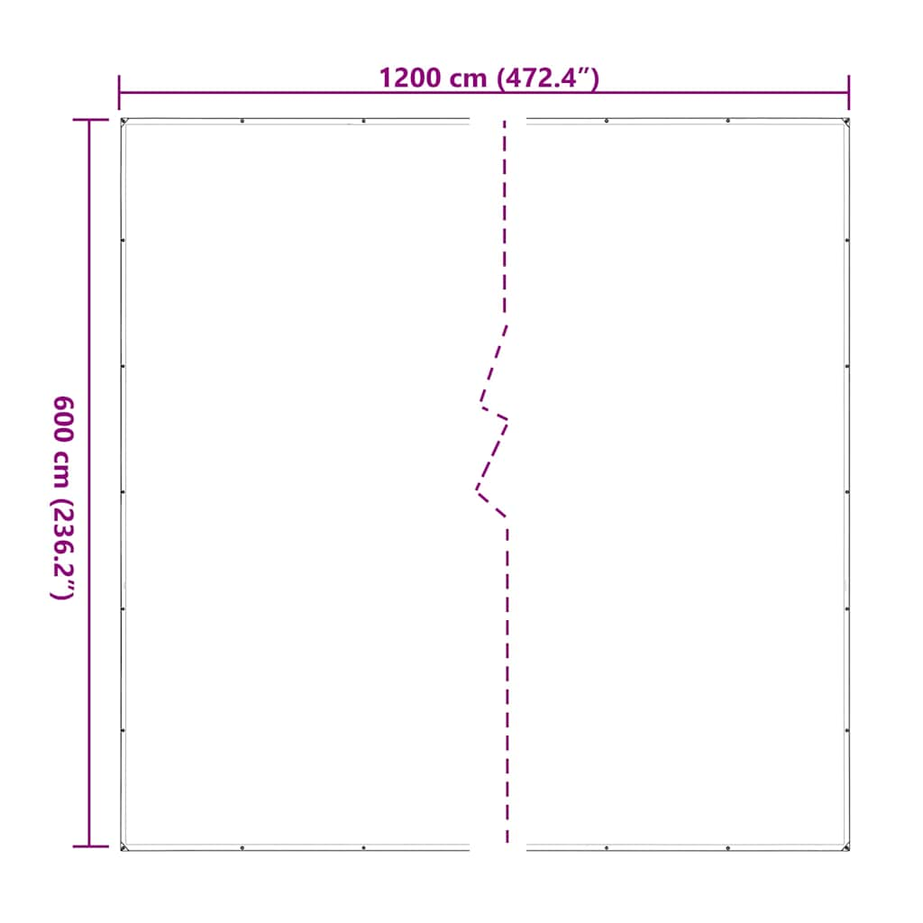 Prelata transparenta cu ochiuri 6x12 m polietilena