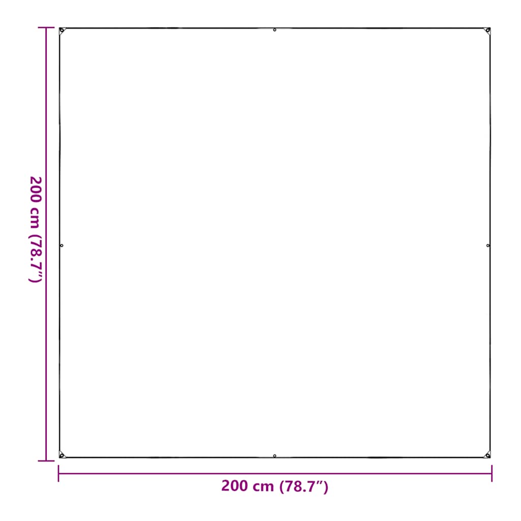 Prelata transparenta cu ochiuri 2x2 m PVC