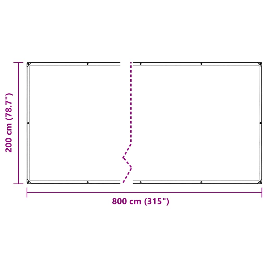 Prelata transparenta cu ochiuri 2x8 m PVC