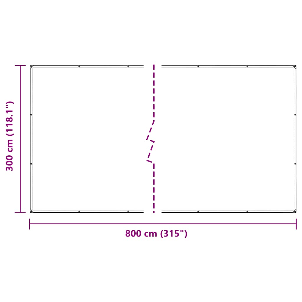 Prelata transparenta cu ochiuri 3x8 m PVC