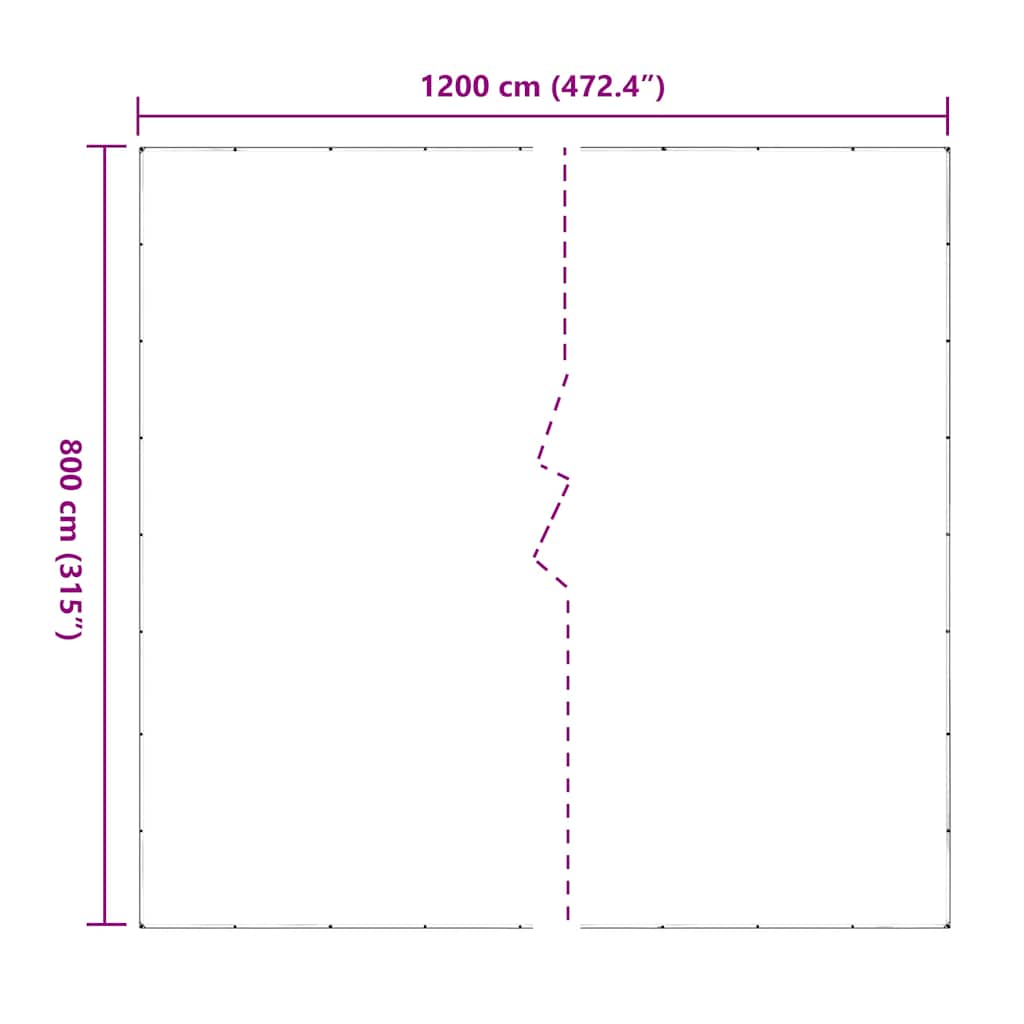 Prelata transparenta cu ochiuri 6x12 m PVC