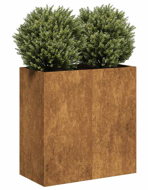 Încărcați imaginea în vizualizatorul Galerie, Jardinieră Rusty 80x40x80 cm Oțel pentru intemperii
