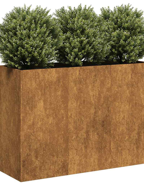 Încărcați imaginea în vizualizatorul Galerie, Jardinieră Rusty 120x40x80 cm Oțel pentru intemperii
