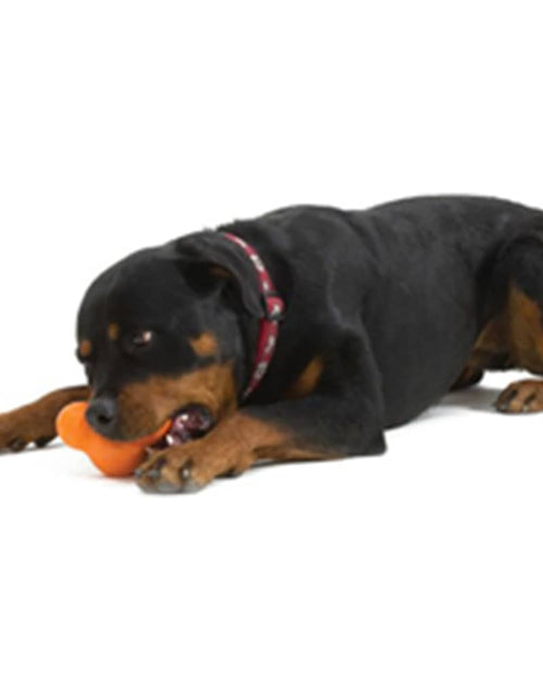 Încărcați imaginea în vizualizatorul Galerie, 441987 West Paw Dog Toy with Zogoflex &quot;Tux&quot; Tangerine Orange L - Lando
