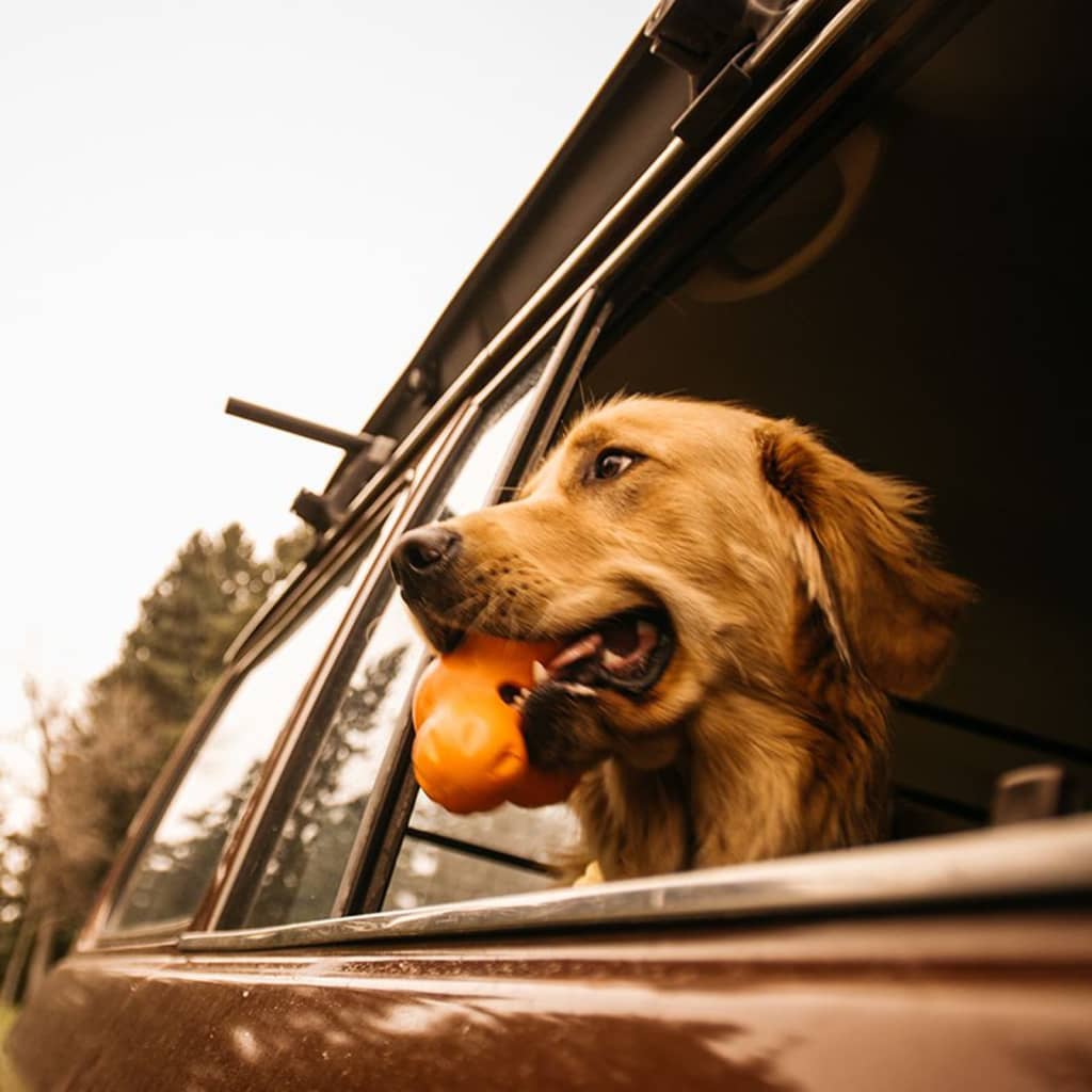 441987 West Paw Dog Toy with Zogoflex "Tux" Tangerine Orange L - Lando