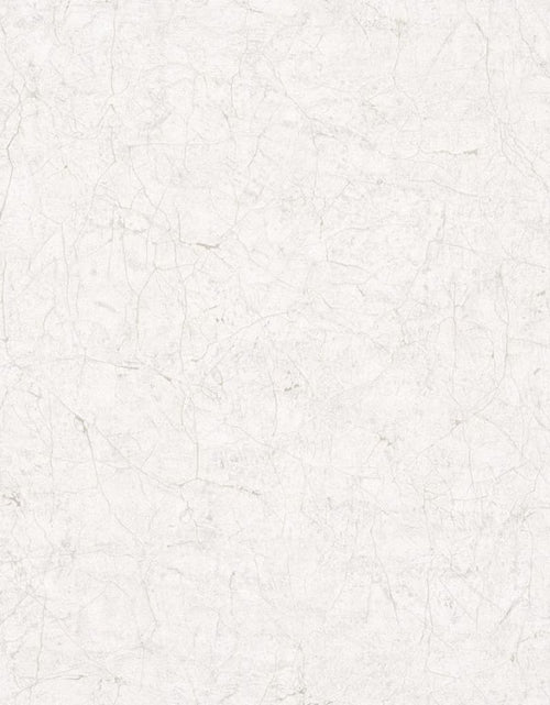 Загрузите изображение в средство просмотра галереи, Noordwand Tapet ”Vintage Deluxe Stucco Crackle”, bej și alb - Lando
