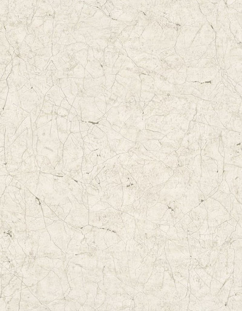Загрузите изображение в средство просмотра галереи, Noordwand Tapet ”Vintage Deluxe Stucco Crackle”, gri și alb - Lando
