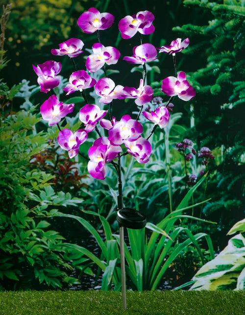 Încărcați imaginea în vizualizatorul Galerie, HI Lumină solară orhidee de grădină, LED, 75 cm Lando - Lando
